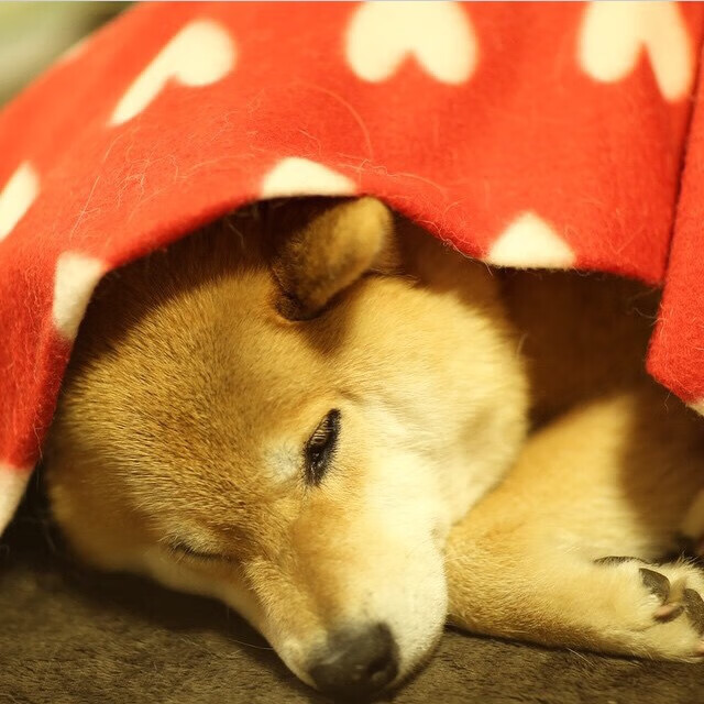 爱游戏app下载-【战术变化】球队如何应对不同对手制定策略，球队的问题